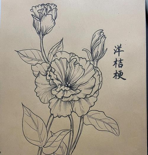洁梗的花语是什么意思？它代表了哪种情感？