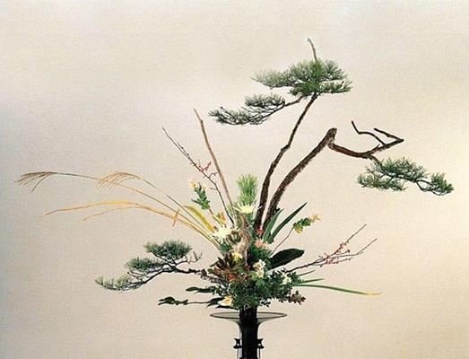 菊花花语大全日本有哪些？它在日本文化中意味着什么？