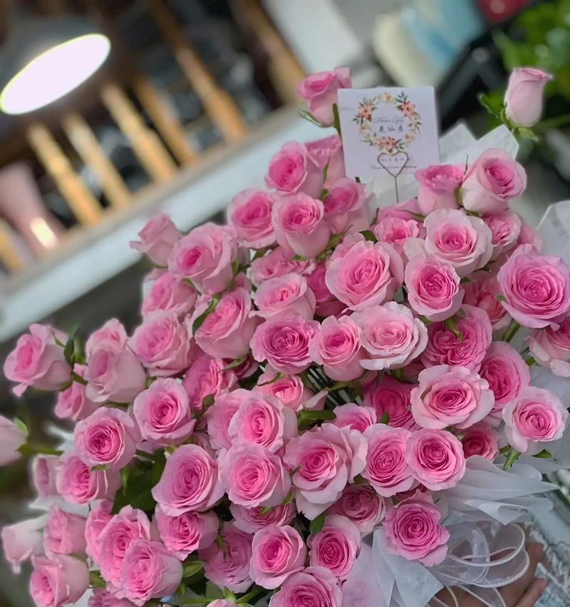 玫瑰花洛神的花语是什么？如何表达爱意？
