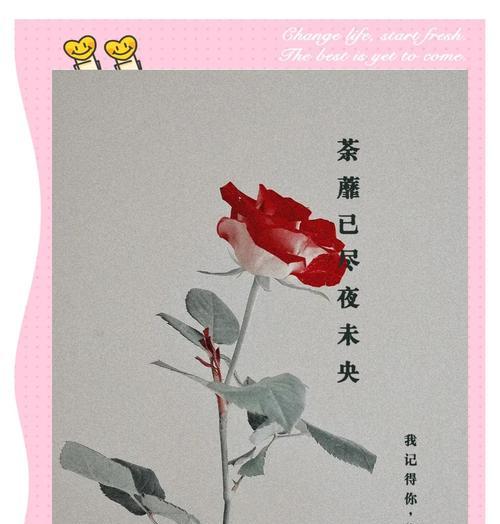 荼靡花语有哪些？它的传说故事是什么？