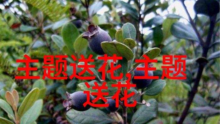 如何通过花语体现雅致人生？花语背后的意义是什么？