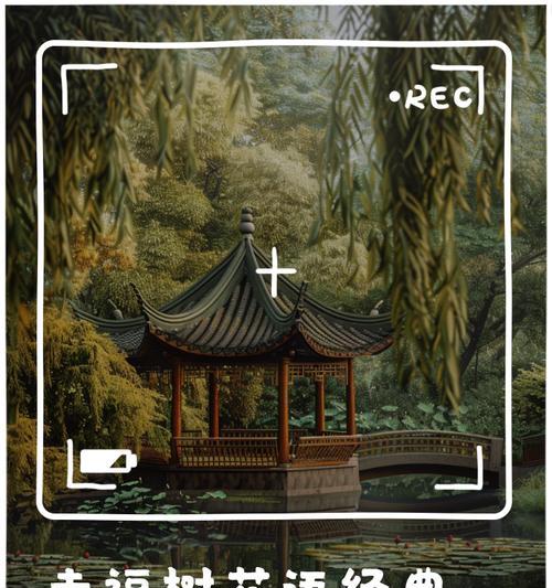 幸福树的花语是什么？它在家居中有什么作用？