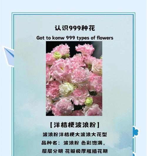 蓝紫洋桔梗的花语有哪些？它象征着什么？