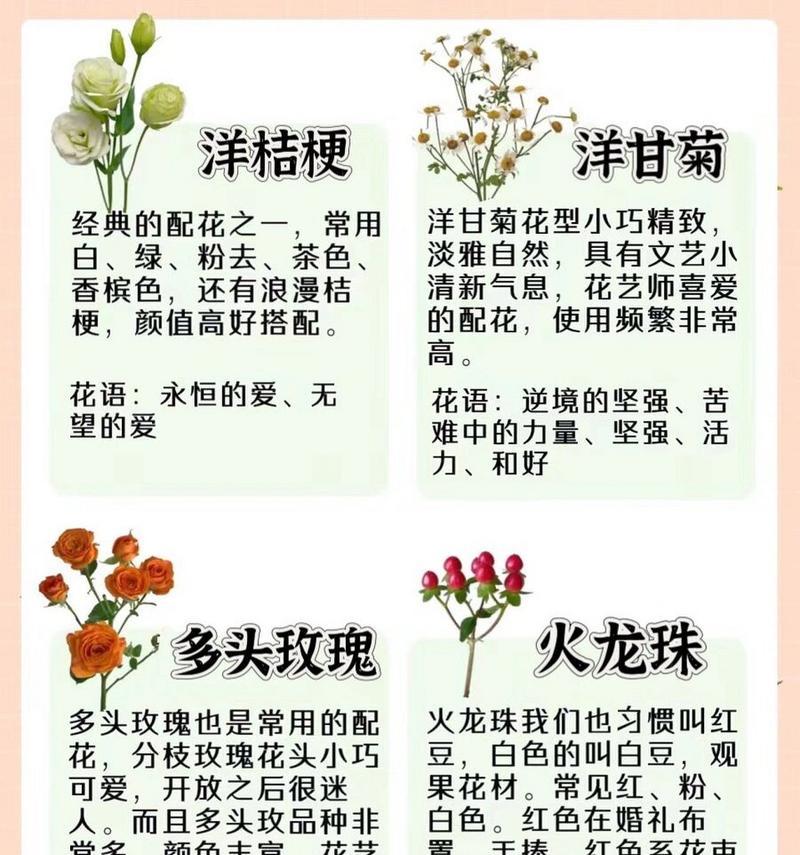 满天花的花语是什么意思？满天花在花语中代表什么？