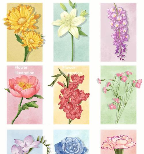 缕丝花的花语是什么？缕丝花在花语中代表什么？
