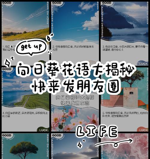 向日葵的花语有哪些？向日葵在花语中象征着什么？