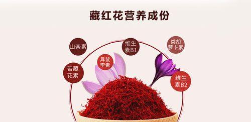 藏红花的花语是什么意思？藏红花象征着什么？