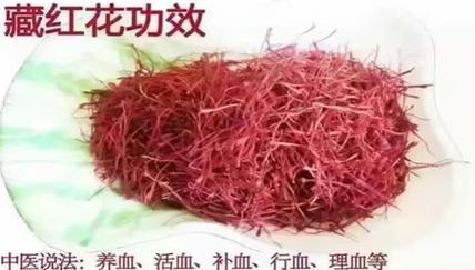 藏红花的花语是什么意思？藏红花象征着什么？