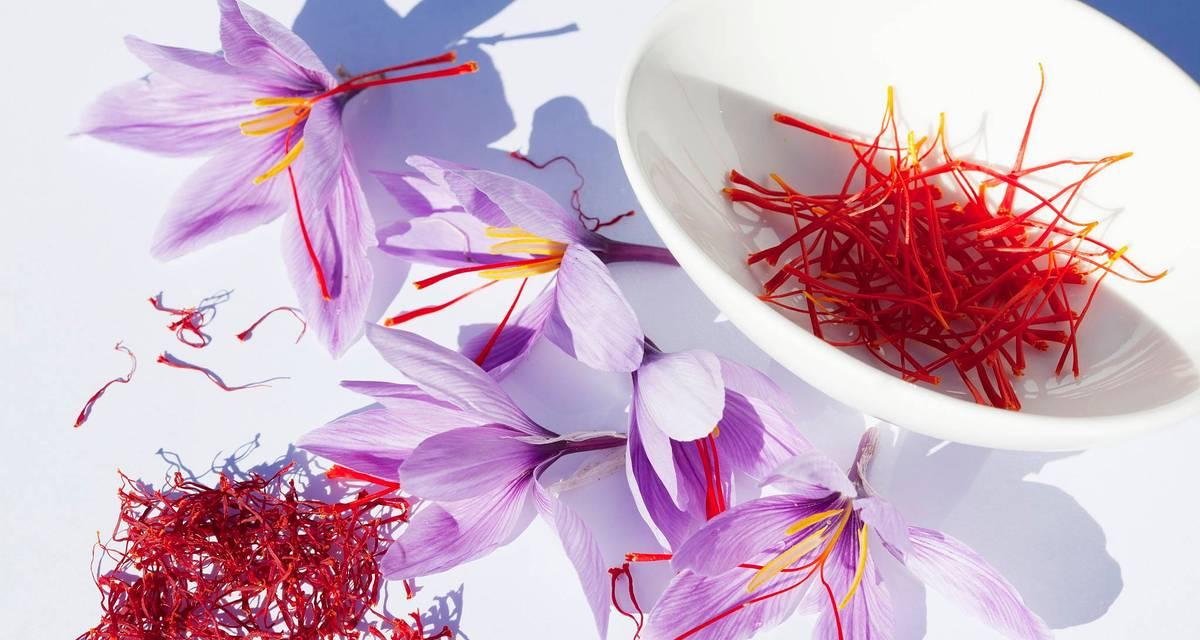 藏红花的花语是什么意思？藏红花象征着什么？