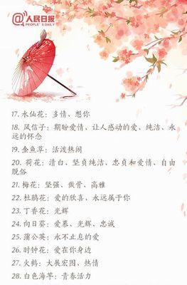 剪夏罗的花语有哪些？