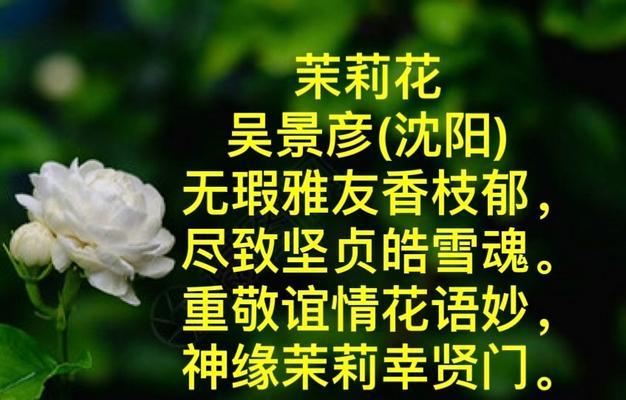 茉莉花的花语有哪些传说？