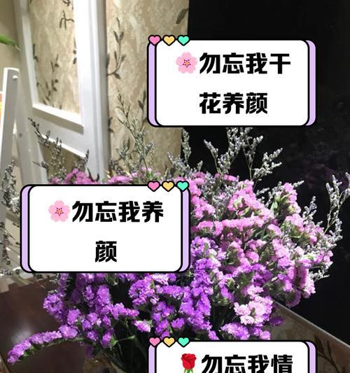 勿忘我花语的配音是什么？如何选择合适的配音？