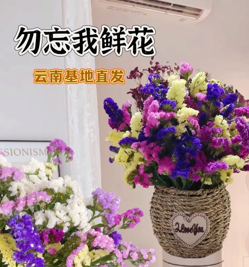 勿忘我花语的配音是什么？如何选择合适的配音？