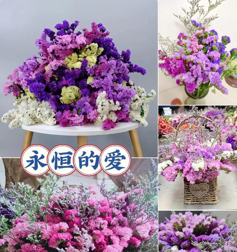 勿忘我花语的配音是什么？如何选择合适的配音？