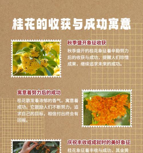 寓意美好的花语有哪些？如何挑选寓意美好的花？
