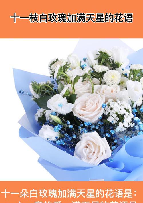 蓝色满天星的花语含义是什么？它在花语中代表什么？