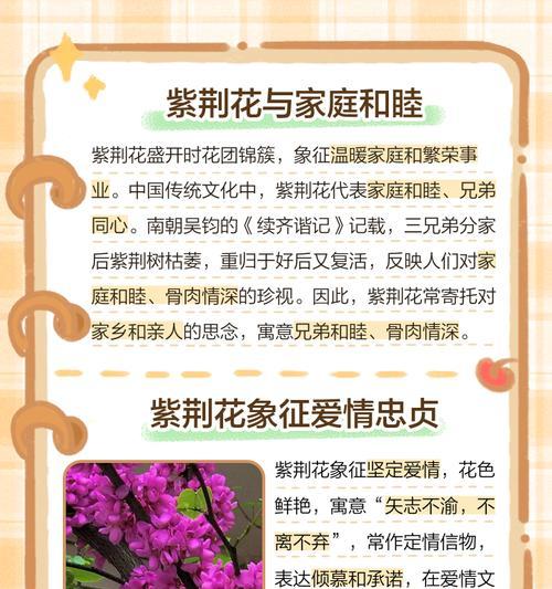 哪种花的花语是水？它在花语中代表了什么？