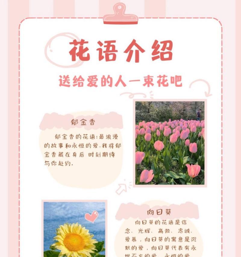 代表人的花语大全有哪些？如何通过花语表达情感？