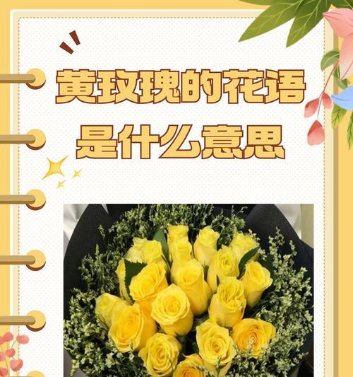 代表人的花语大全有哪些？如何通过花语表达情感？
