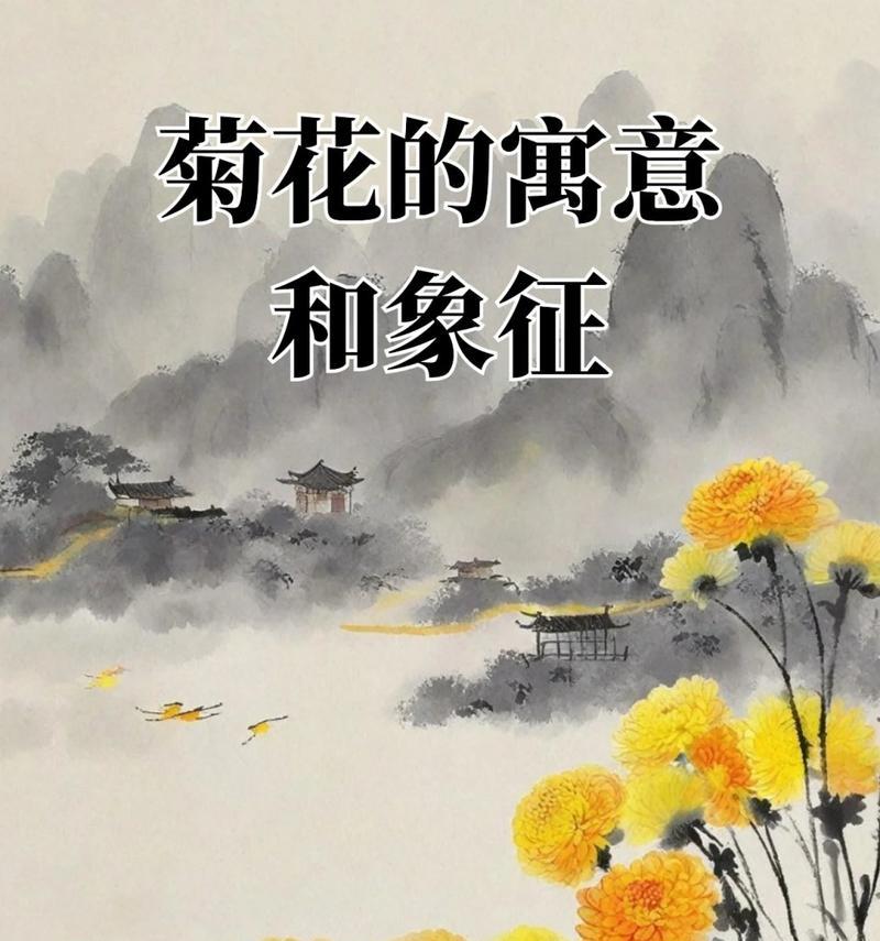 菊花的象征与寓意有哪些？