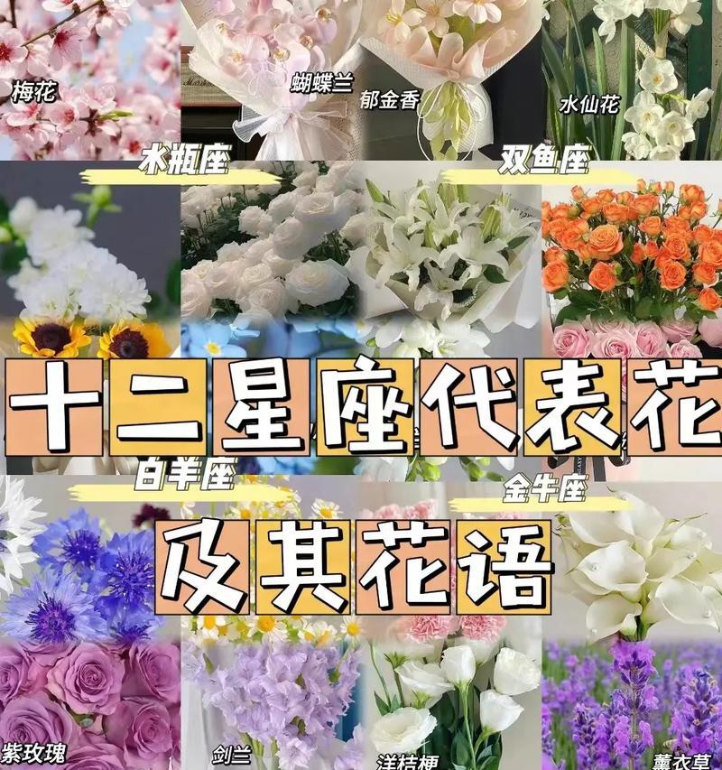 哪种花的花语可以代表人？