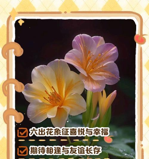 哪种花的花语可以代表人？