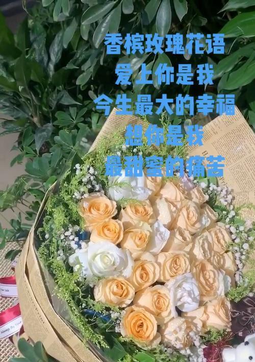 香槟小扣菊的花语有哪些含义？