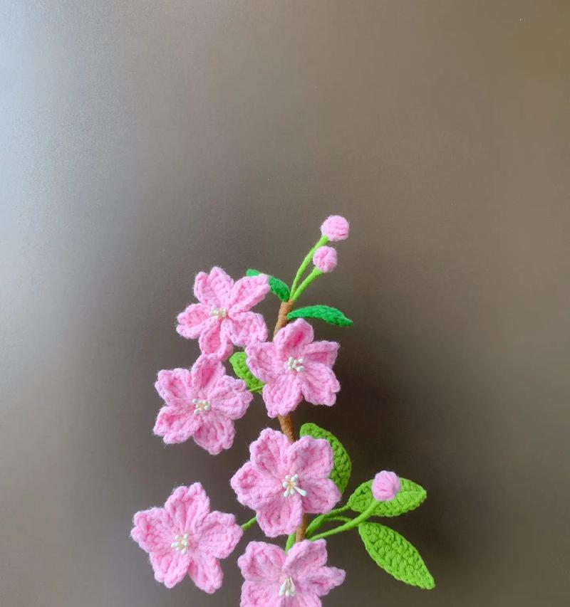 冰娇的别名和花语是什么？