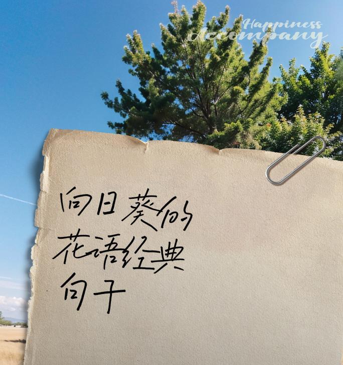 向日葵代表爱情吗？情人之间送向日葵的花语是什么？