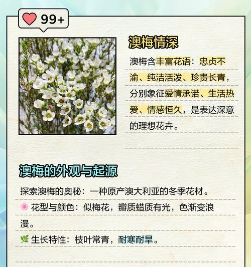 梅花的花语寓意是什么？梅花象征着什么？