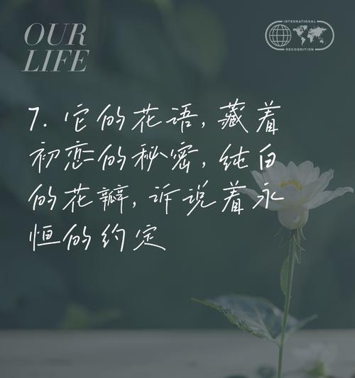 栀子花送给朋友代表什么？它的花语有哪些含义？