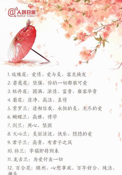 紫色大叶惠兰的花语是什么？它象征着什么？