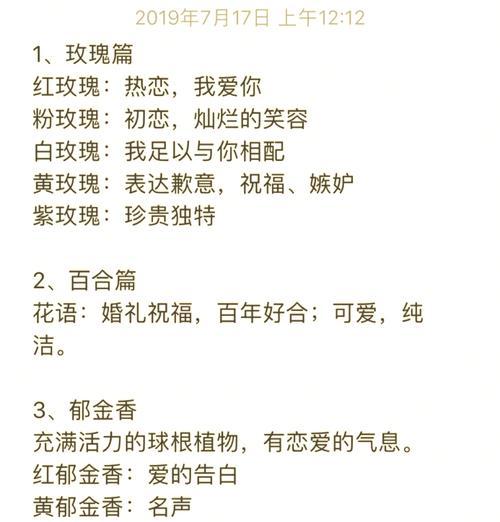 紫色大叶惠兰的花语是什么？它象征着什么？