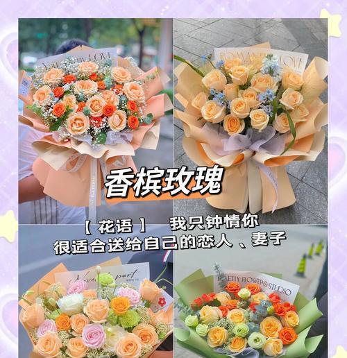 粉蝶荷兰菊的花语是什么？它有什么特别的寓意吗？