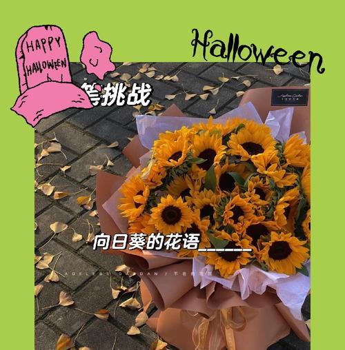 向日葵的花语有哪些不好之处？它代表什么负面含义？