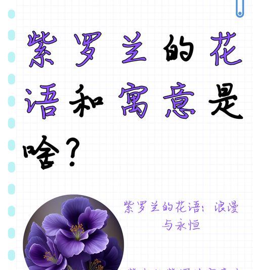 红蓝的花语和寓意分别是什么？如何搭配使用？