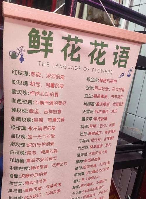 葵百合的花语有哪些独特特征？