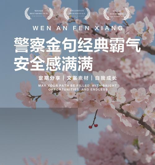 哪种花的花语代表安全感？