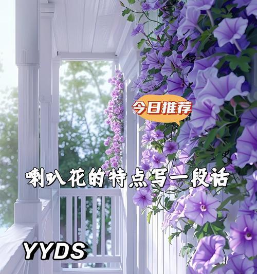 喇叭花的花语有哪些含义？