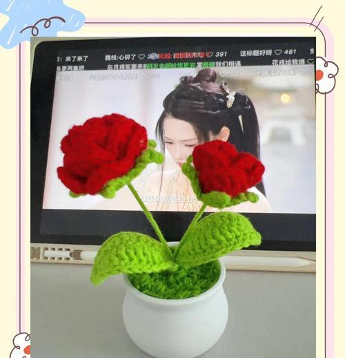玫瑰花栽种过程中应注意哪些问题？
