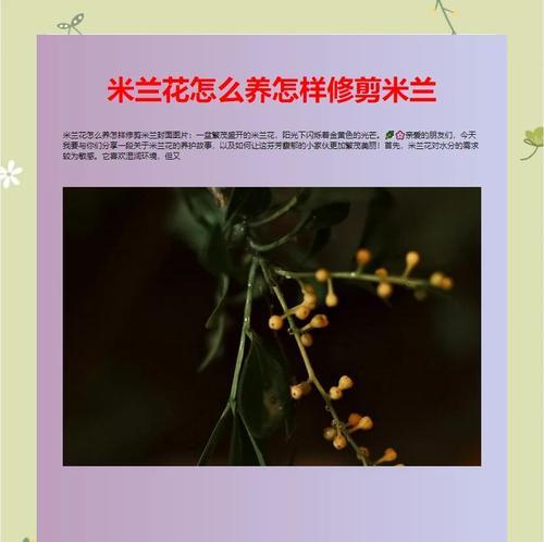 米兰花养殖方法有哪些？米兰花养殖需要注意什么？