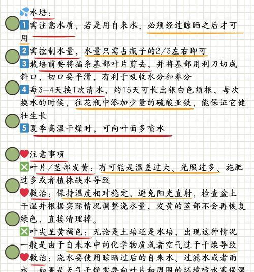 富贵竹种植方法和注意事项是什么？