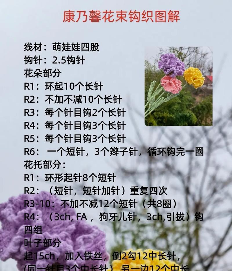 香石竹品种的花语是什么？香石竹品种有哪些？
