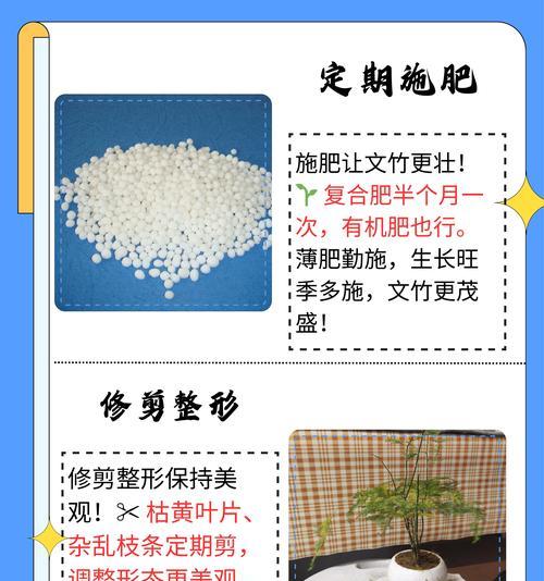 文竹换盆的最佳时间和步骤是什么？