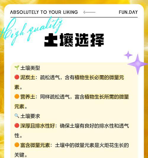 火炬树栽植的正确方法是什么？怎样保证成活率？