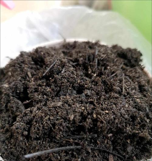 腐殖土怎么制作？自制腐殖土的步骤是什么？