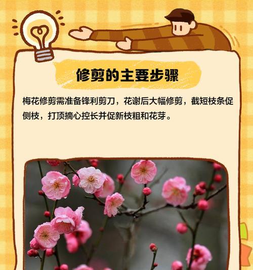 长春花修剪的最佳时机？