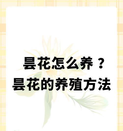 昙花养殖的秘诀和常见问题是什么？