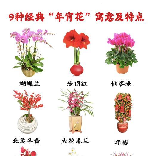花木品种有哪些？如何选择和养护花木品种？