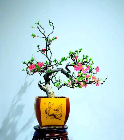 花木品种有哪些？如何选择和养护花木品种？
